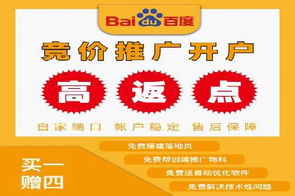 搜索引擎营销（SEM）的创意与执行——以多个行业成功案例为教学